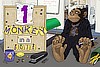 One Monkey in a Suit